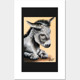 Little Donkey Posters and Art